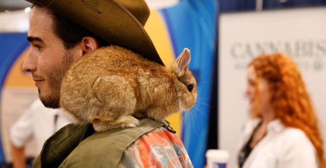 Un asistente permanece con un conejo en el hombro durante el Congreso Mundial del Cannabis en Nueva York, Estados Unidos. REUTERS / Lucas Jackson