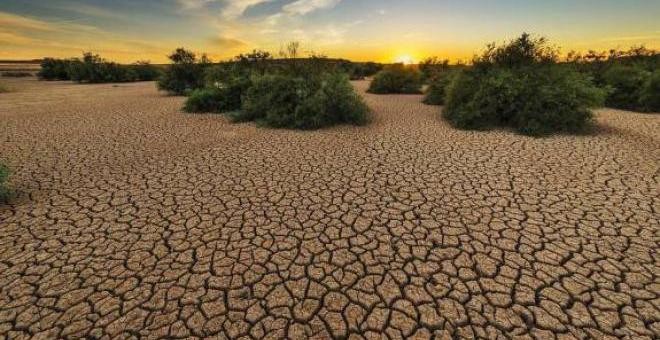 Un estudio certifica que Murcia es una de las zonas con más riesgo de desertificación de Europa