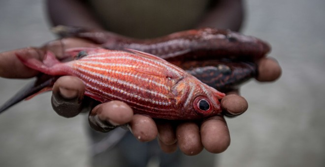Pescador con peces en sus manos, Mafamede, Mozambique. WWF