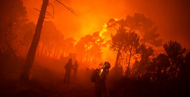 Un bombero pasa junto a los árboles incendiados durante un incendio forestal en Tabuyo del Monte, cerca de León, España, el martes 21 de agosto de 2012. PEDRO ARMESTRE