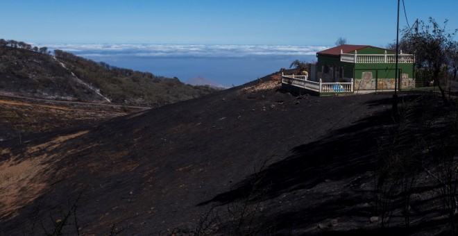 Así quedó el terreno afectado por los incendios de Gran Canaria que tuvieron lugar este mes de agosto. / Reuters