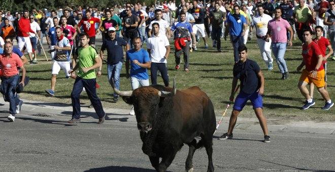 La celebración del Torneo del Toro de la Vega este 12 de septiembre, en Tordesillas. EFE