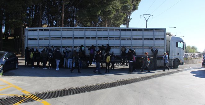 Un grupo de activistas animalistas recibe a un camión de cerdos en el matadero de Getafe./Alejandro Tena