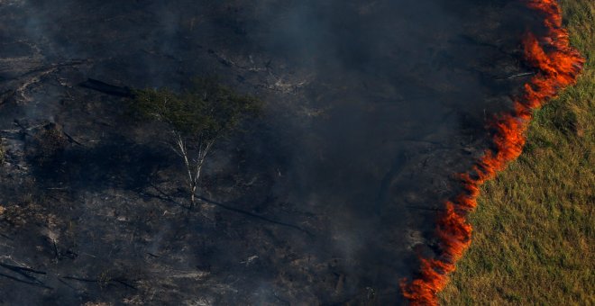 Un bosque en llamas durante la "Operación Ola Verde" realizada por agentes del Instituto Brasileño de Medio Ambiente y Recursos Naturales Renovables para combatir la tala ilegal en la sureña región del estado de Amazonas.- REUTERS