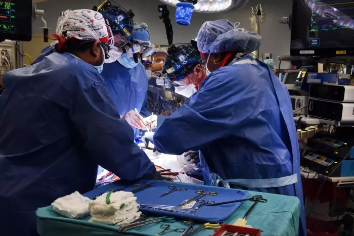 Logran trasplantar por primera vez un riñón de cerdo modificado genéticamente a un paciente de 62 años