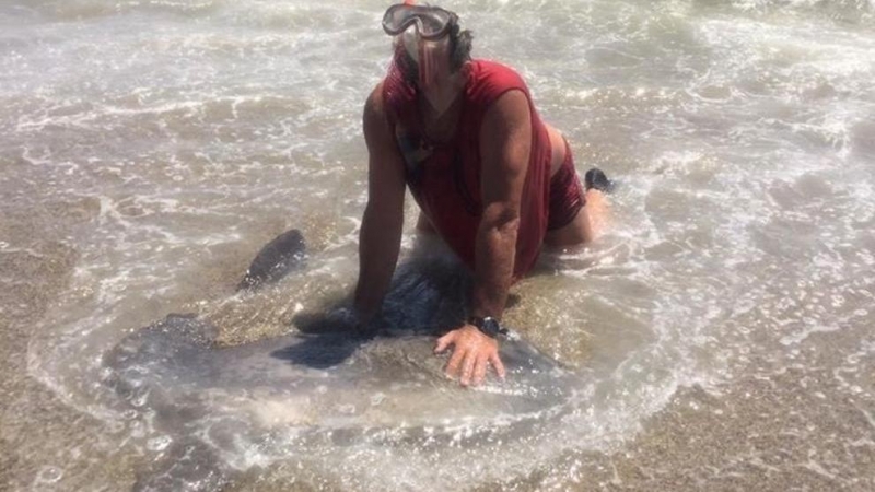 El denunciado aplastó hasta la muerte a un ejemplar adulto de pez luna en una playa de Roquetas de Mar (Almería). /Europa Press