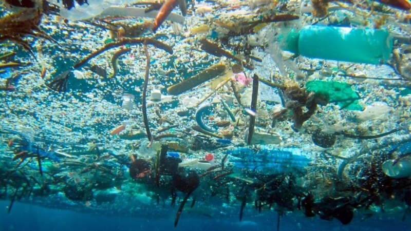 Plásticos en las profundidades de mares y océanos.