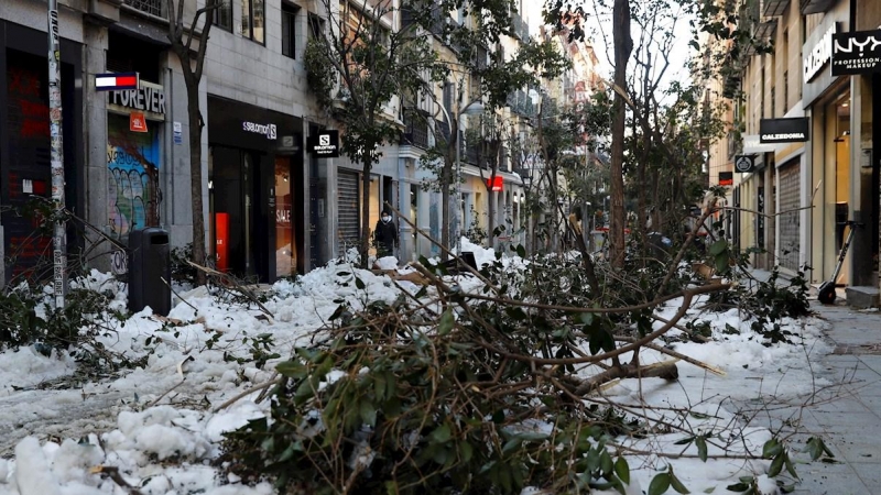 12/01/2021.- Vista de la nieve y los árboles caídos en la acera de la calle Fuencarral (Madrid).