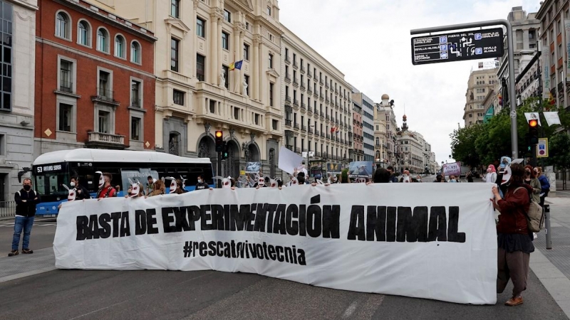 Protesta del 9 de mayo organizada por grupos animalistas para pedir la liberación de los animales del laboratorio de Vivotecnia en Madrid.