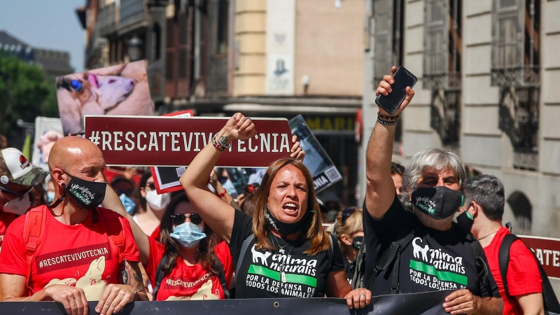 29/05/2021. Decenas de personas participan en la manifestación para exigir el rescate de los animales del laboratorio Vivotecnia, este sábado en Madrid. - EUROPA PRESS