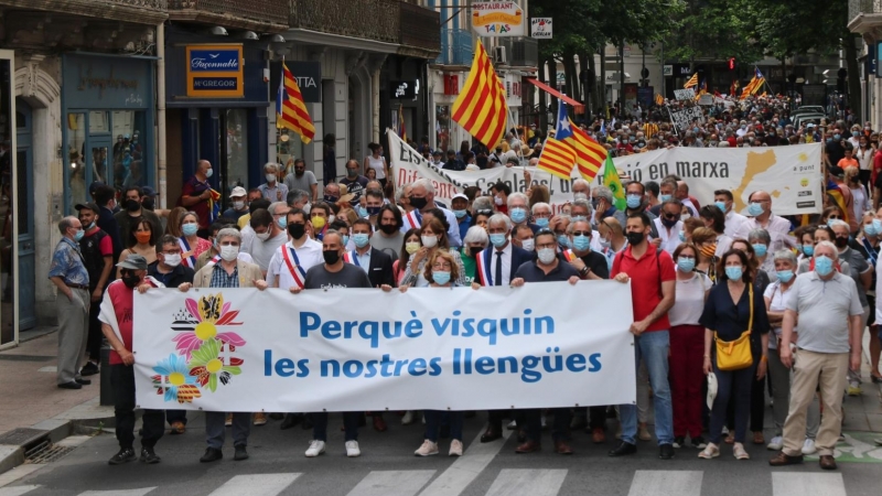 Pla general de la manifestació a Perpinyà per demanar que no es canviï la llei que protegeix el català a França.