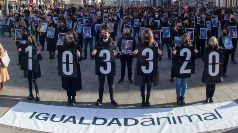 Activistas de Igualdad Animal en la Puerta del Sol
