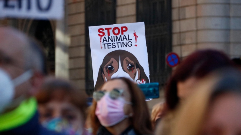 Centenars de persones han participat en la concentració per reclamen la suspensió de l'experiment amb cadells de gos de la UB amb Vivotecnia.