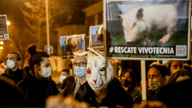 Un grupo de personas sostiene pancartas durante la concentración contra el CSIC por las víctimas de Vivotecnia, ante las dependencias del CSIC, a 27 de enero de 2022, en Madrid.