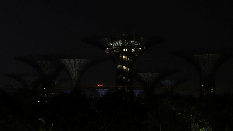 Una vista de Supertree Grove en Gardens by the Bay después de que se apagaran las luces para la Hora del Planeta en Singapur