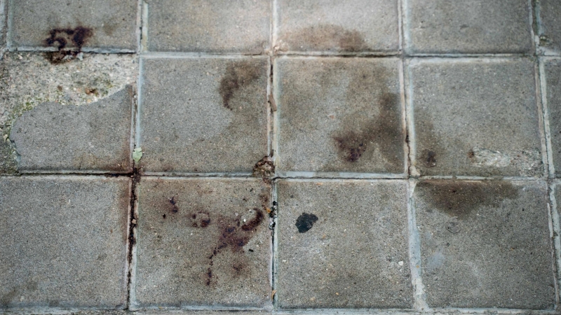 Restos de sangre en la acera en la que apareció el último gato muerto con mordeduras y signos de haber sido apaleado.