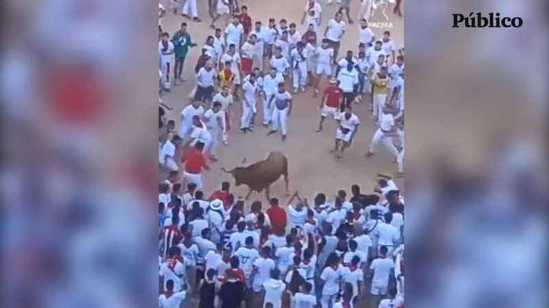 Vídeo de la vaquilla asediada durante uno de los encierros celebrados en Pamplona.