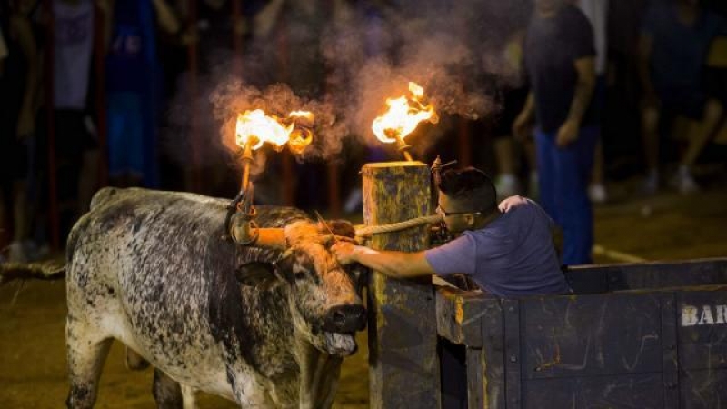 La quinta muerte en festejos taurinos en la Comunidad Valenciana, en Almedíjar (Castellón)