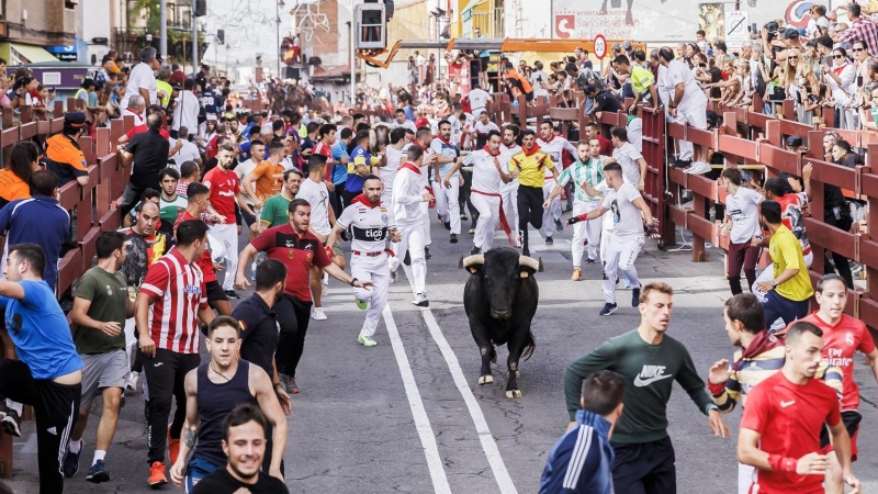 Varias personas corren delante de los toros en el tercer encierro celebrado este lunes, con motivo de la celebración de la Feria de San Sebastián de los Reyes, en Madrid.