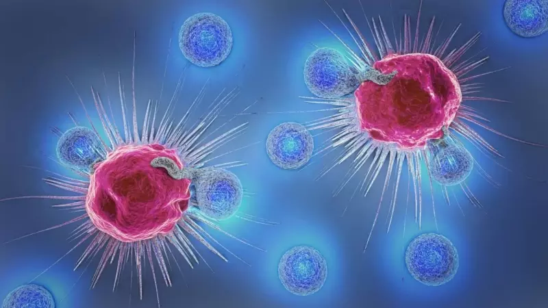 Ilustración en 3D de células cancerosas y linfocitos.