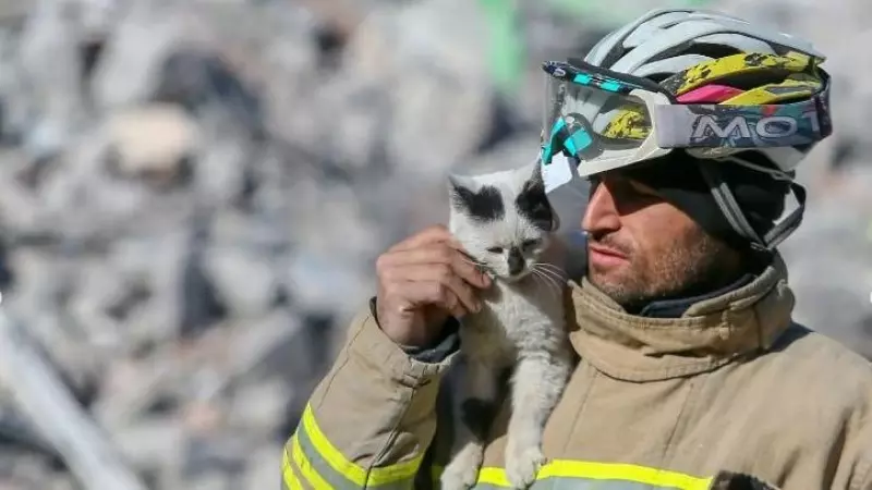 Imagen de Enkaz, el gato que fue rescatado de los escombros del terremoto en Turquía, junto al bombero que lo rescató.