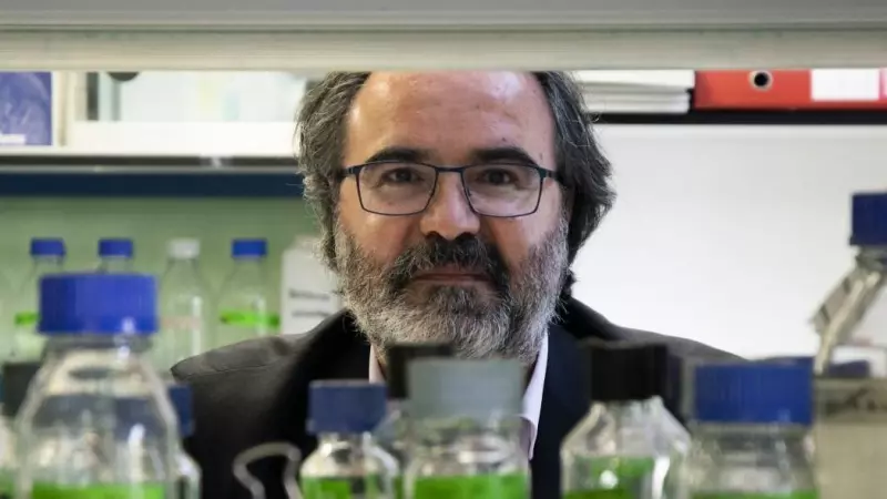 Lluís Montoliu, investigador del CSIC.