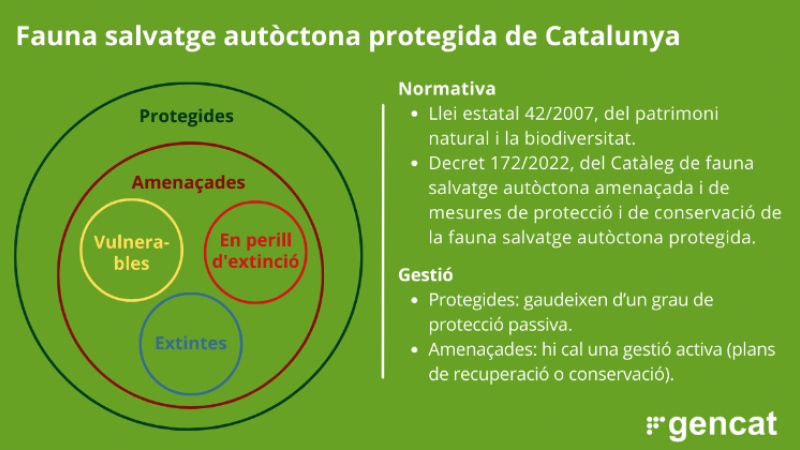 Categoríes de fauna salvatge autòctona protegida a Catalunya