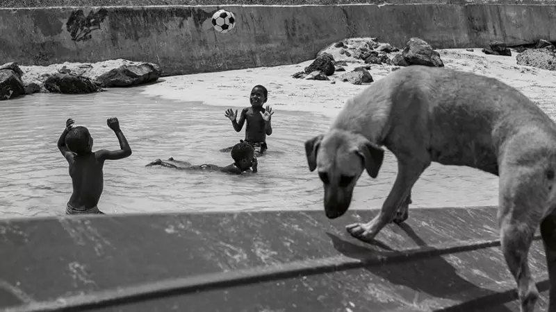 27/3/23 Un perro en primer plano y dos niños al fondo jugando a la pelota mientras se bañan en la playa en Santa María | Alba Díaz.