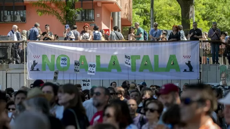 Ciudadanos se manifiestan en contra de talas de árboles en varios puntos de la ciudad de Madrid.