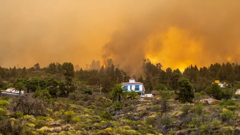 LLamas cerca de una vivienda en el incendio forestal declarado en la Palma, a 15 de julio de 2023, en Puntagorda, La Palma,