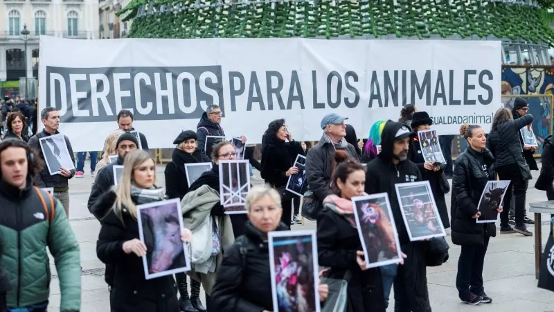 Decenas de personas sostienen fotos de animales, durante una concentración por el Día internacional de los derechos de los animales, a 9 de diciembre de 2023, en Madrid