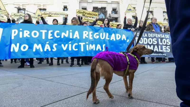 Ecologistas y animalistas se concentran este ante el Ayuntamiento de Madrid para mostrar su oposición a la mascletá organizada junto a la Casa de Campo por el alcalde.