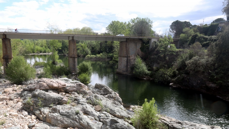 El riu Ter al seu pas per la Cellera, a l'altra banda del pont que dona a la presa del Pasteral