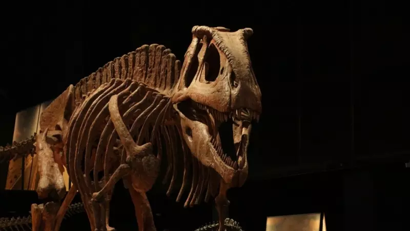 L'exposició ‘Dinosaures de la Patagònia’ al CosmoCaixa