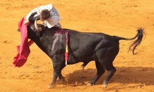 La ONU, partidaria de prohibir la entrada de menores en las corridas de toros.