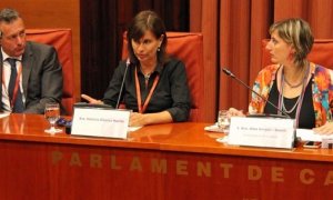Victoria Álvarez durante su comparecencia en el Parlament de Catalunya el 26 de junio de este año. EUROPA PRESS