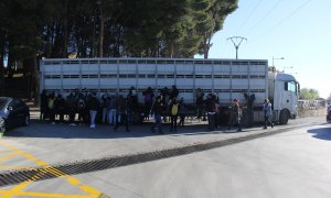 Un grupo de activistas animalistas recibe a un camión de cerdos en el matadero de Getafe./Alejandro Tena