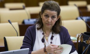 La parlamentaria andaluza Mª José Piñero, en la Comisión de Educación y Deporte. /Europa Press -María José López