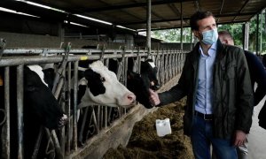 El líder del PP, Pablo Casado. de visita en una explotación láctea en el municipio de Cospeito (Lugo). Fuente: PP