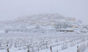 Horta de Sant Joan nevat després del pas del temporal Filomena.