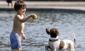 Un niño tienta a un perro con una pelota de tenis mientras juega en un estanque en Museumplein en Ámsterdam el 21 de mayo de 2020,