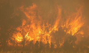 Efectivos de bomberos durante el incendio de la Sierra de la Culebra, a 18 de junio de 2022.