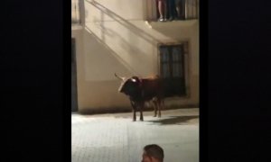 28/06/2022. Instantánea del vídeo difundido por PACMA, a través de su cuenta de Twitter, en el que se puede ver la ejecución pública de uno de los toros, a 26 de junio de 2022 en San Juan de Coria (Extremadura).