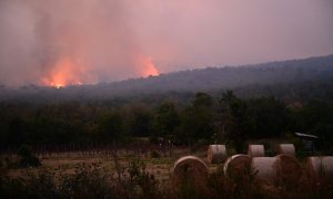 El humo se eleva mientras los incendios forestales arden en el bosque cerca del pueblo de Novelo, el 21 de julio de 2022. Cientos de bomberos se desplegaron en el oeste de Eslovenia el 20 de julio de 2022 para combatir un incendio que obligó a la evacuaci