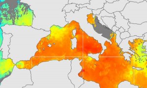 Mapa de calor que muestra las temperaturas adversas en el mar mediterráneo.