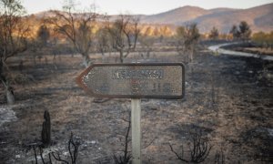 Paisaje calcinado del término municipal de El Toro (Castelló) por el incendio forestal que se declaró en el término municipal de Bejís