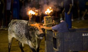 La quinta muerte en festejos taurinos en la Comunidad Valenciana, en Almedíjar (Castellón)