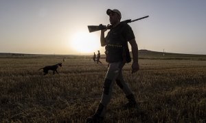 Un cazador, durante una jornada de caza el primer día de inicio de la media veda en Castilla y León.