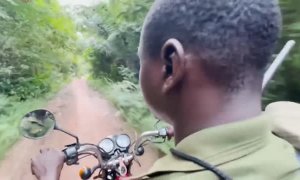 Nigeria reconvierte cazadores furtivos en guardabosques en la selva de Omo