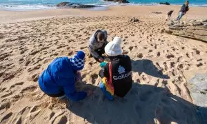 8/1/24 Varias personas limpian de pellets la playa Do Vilar, en Ribeira (A Coruña), el pasado domingo.